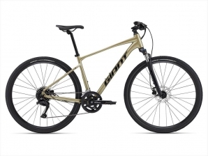 Rower crossowy Giant Roam 2 Bay Leaf